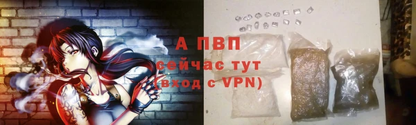 СК Покров
