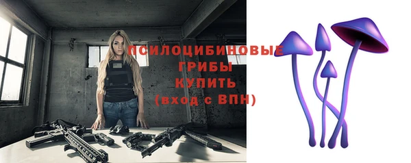 СК Покров