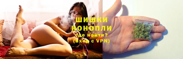 СК Покров