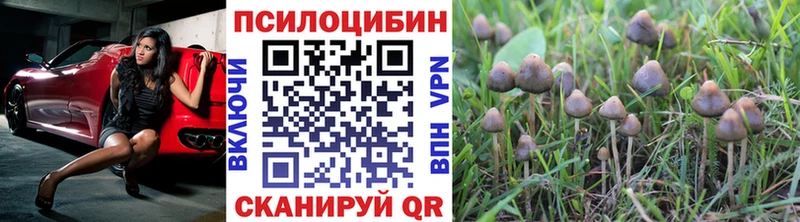 Псилоцибиновые грибы ЛСД  Рыбное 